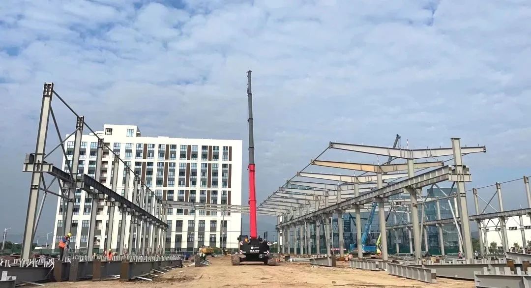 1671688557337370PEov.jpg 1671688557337370PEov.jpg